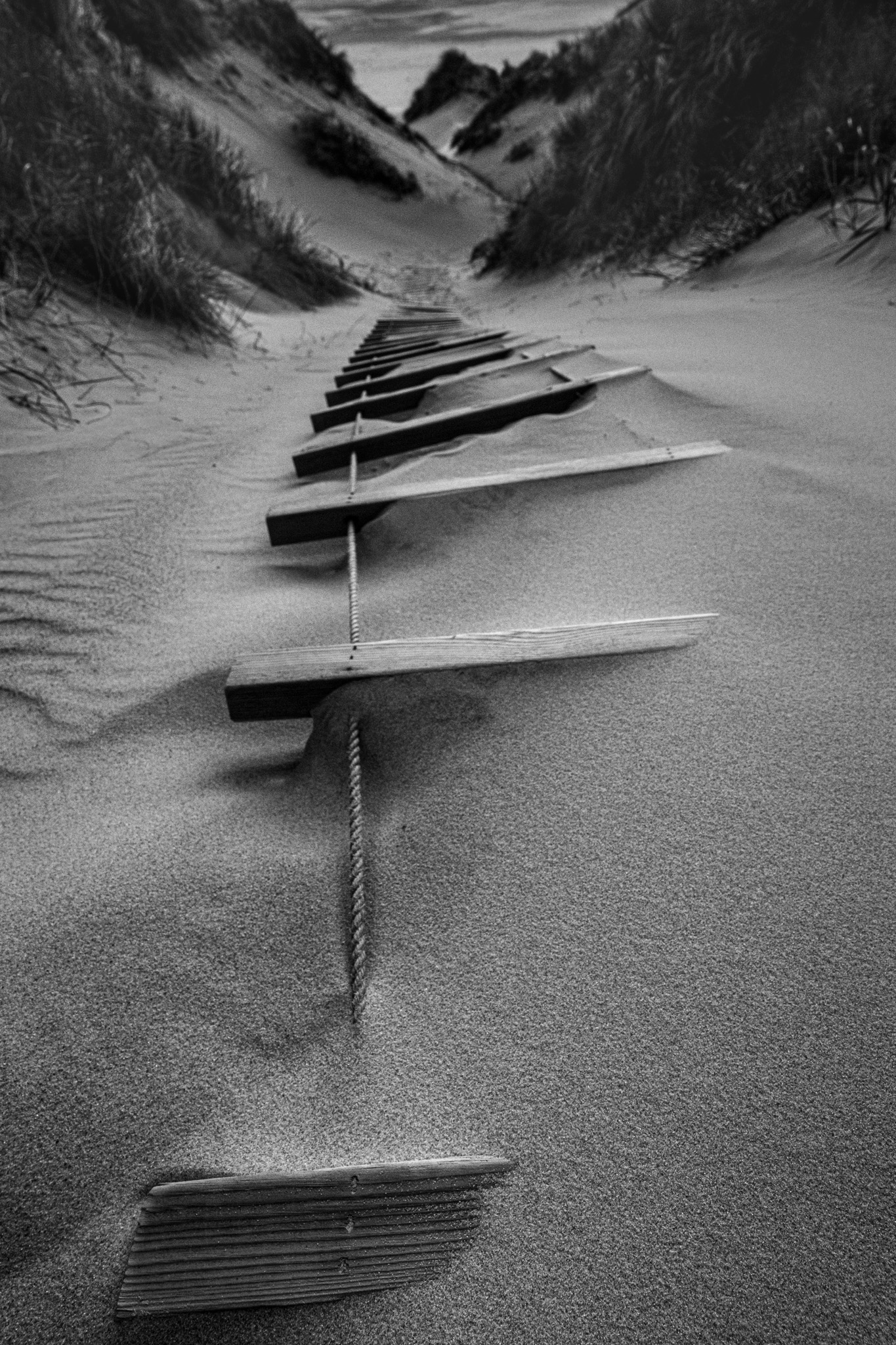 2025 05 15  xt 5   4272